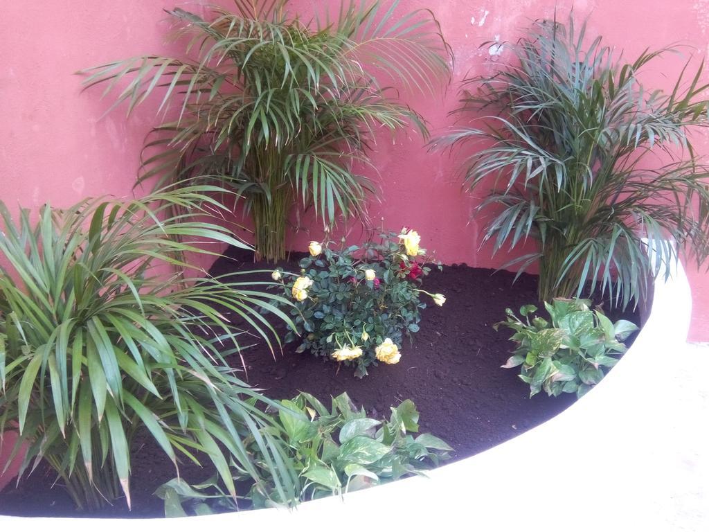Casa Mazejuwi Hotel แคมเปเช ภายนอก รูปภาพ